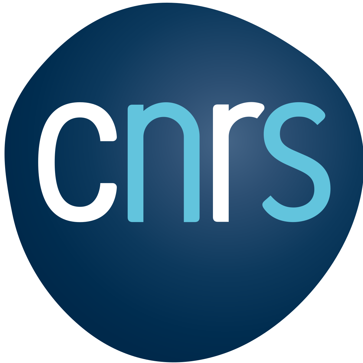 Logo du CNRS