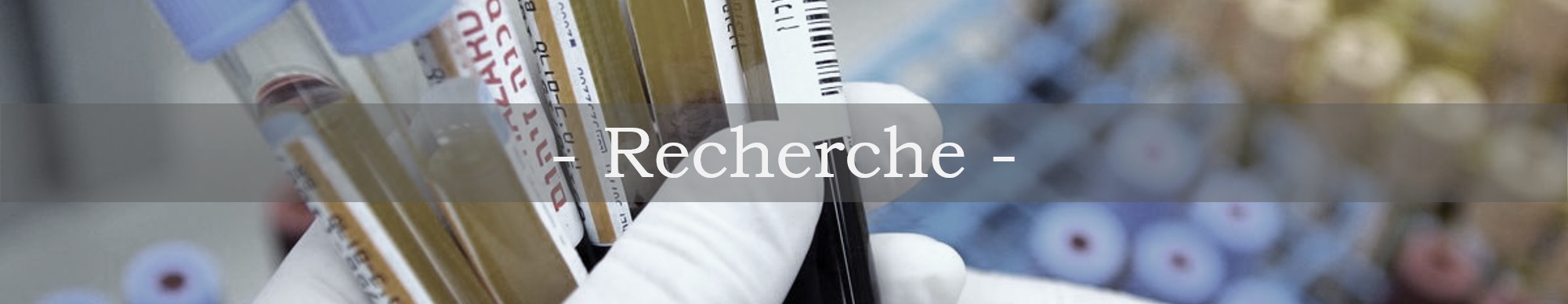 onglet recherche